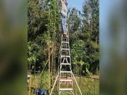 دنیا کا سب سے بڑا بھنڈی کا پودا