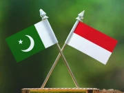 پاکستان کے ساتھ تمام شعبوں میں تعلقات مزید مضبوط بنانا چاہتے ہیں، انڈونیشیا کے سفیر