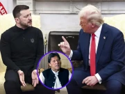 عمران خان کو یوکرینی صدر کے ساتھ ٹرمپ کے رویے سے سبق سیکھنا چاہیے، وفاقی وزیر