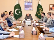 دہشت گرد عناصر کو ہر قیمت پر شکست دیں گے،  صدر مملکت