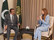 رانا ثنااللہ سے برطانوی ہائی کمشنر کی ملاقات، معلومات کے تبادلے اور اقتصادی شراکت داری پر اتفاق