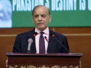 ذاتی خواہشات کے لیے قومی مفاد قربان کرنے کی سوچ پاکستان سے بے وفائی ہے، وزیراعظم