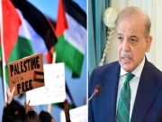 وزیراعظم شہباز شریف نے غزہ پر غیرقانونی قبضے کے اسرائیلی فیصلے کی شدید مذمت کردی