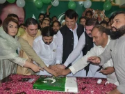 چند لوگ 14 اگست کو ذاتی یا سیاسی ایجنڈوں سے جوڑ کر تقسیم پیدا کرنے کی کوشش کر رہے ہیں، امیرمقام