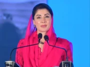 پنجاب میں کام پر تنقید کرنے والے اپنے صوبوں میں تو کام کرلیں، مریم نواز