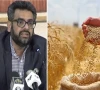گندم کی بمپر فصل ہوئی تھی تو پنجاب و سندھ خریداری کا ہدف حاصل کیوں نہ کرسکے، مزمل اسلم