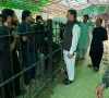 افغانستان میں پھنسے مزید 110 پاکستانی طلبہ وطن پہنچ گئے، 592 کارگو گاڑیاں بھی واپس آگئیں