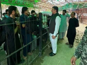 افغانستان میں پھنسے مزید 110 پاکستانی طلبہ وطن پہنچ گئے، 592 کارگو گاڑیاں بھی واپس آگئیں