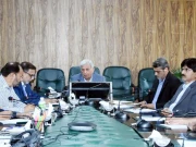 پاکستان میں 30 فیصد سے زائد خواتین وبچے زنک، آئرن، وٹامن کی کمی کا شکار ہیں، وفاقی وزیر