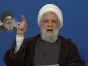 سربراہ حزب اللہ کی سعودی عرب سے تعلقات بہتر کرنے اور اسرائیل کے خلاف اتحاد کی اپیل