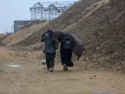 غزہ میں اسرائیل کی وحشیانہ کارروائیوں سے آبادی میں 6 فیصد کمی آئی، رپورٹ