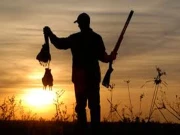 حکومت سندھ نے 4 ماہ کیلئے شکار پر عائد پابندی ہٹادی