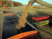 روس نے شام کیلئے گندم کی برآمد معطل کردی