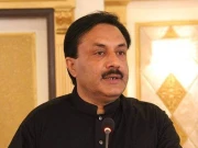 امن کیلئےکی جانے والی کوششوں کی بھرپور حمایت کرتے ہیں، ڈپٹی چیئرمین سینیٹ