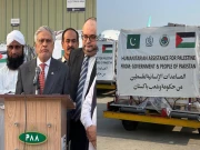 غزہ کیلئے مزید امدادی سامان کل روانہ کردیا جائے گا