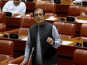 شبلی فراز کی نااہلی سے خالی سینیٹ کی نشست پر انتخاب کا شیڈول جاری