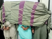 فوٹو: سی ٹی ڈی