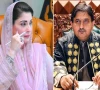 مریم نواز سے اسپیکر ملک احمد خان کی ملاقات، ‘تمام تحفظات دور’