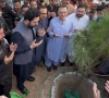 یوم آزادی پر پنجاب اور خیبرپختونخوا میں شجرکاری مہم، ہزاروں پودے لگائے گئے