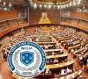 سینیٹرز، اراکین پارلیمنٹ بھی سائبر فراڈ کا نشانہ بن گئے، ملزمان 8 ارب 32 کروڑ لے اڑے