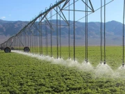 ٹیکنالوجی کے استعمال سے زرعی شعبے میں اربوں ڈالر کمائے جاسکتے ہیں، ایگری ٹیک رپورٹ