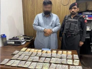 ایف آئی اے، رینجرز کی مشترکہ کارروائی، جعلی ڈالرز فروخت میں ملوث ملزم گرفتار