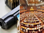 وفاقی وزیر داخلہ کا ہر پارلیمنٹیرین کو ممنوعہ بور کا لائسنس دینے کا اعلان