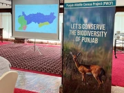 پنجاب میں وائلڈ لائف سروے کا نیا مرحلہ، نباتات کی گنتی شروع