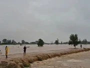 صرف 10 دن میں 70 کلومیٹر بند بنایا، جس سے جلال پاور پیروالا تباہی سے بچ گیا، صوبائی وزیر