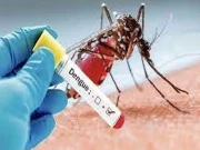 اسلام آباد میں 24 گھنٹوں کے دوران ڈینگی وائرس کے مزید 25 کیسز رپورٹ