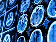 فوٹو: ایشین سائنٹسٹ