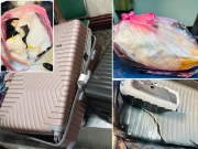 لاہور ایئرپورٹ پر اے ایس ایف کی کارروائی، منشیات اسمگلنگ کی کوشش ناکام بنادی