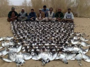 وائلڈ لائف انفارمر مہم، پنجاب میں غیر قانونی شکار کی روک تھام کے لیے اہم اقدام