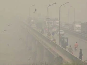 لاہور میں اسموگ کے خاتمے کیلئے 8 سے 10 سال درکار ہوں گے، سینئر صوبائی وزیر