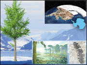 انٹارکٹیکا کبھی سبزے سے ڈھکا تھا