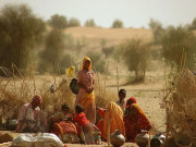 تھر میں موسم کی شدت اور غذائی قلت سے ہلاکتیں