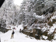 بارش اور برفباری کی وجہ سے سردی کی شدت میں اضافہ ہوگیا۔ فوٹو: فائل