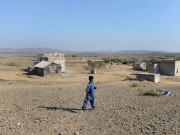 سندھ کا نوحہ جنگل مقبوضہ اور بدحال صحت کا شعبہ