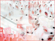 ’’ خرگوشوں کی طرح نسل بڑھائیں‘‘  پولش حکومت کی عوام سے اپیل