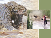 گستاف دریائے روزوزی کا عفریت