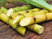 گنے کی قیمت صوبائی معاملہ ہےوفاق ذمے دار نہیں سکندر حیات بوسن