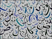 اردو کے گلشن میں ’’میڈیائی اُلوؤں‘‘ کا بسیرا