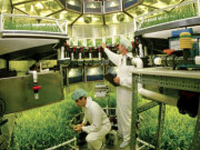 چاند اور مریخ پر سبزیوں کی کاشت     