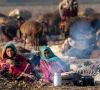 غذائی قلت نےافغان شہریوں کی زندگی انتہائی مشکل بنا دی