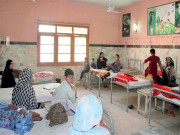 سگ گزیدگی کے واقعات یومیہ 100 سے زائد مریض اسپتال لائے جانے لگے