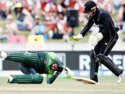 بیٹنگ کے دوران شعیب ملک کے سر پر گیند لگ گئی