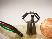 پیکنگ کرنے اور سامان اٹھانے والا دنیا کا سب سے چھوٹا روبوٹ تیار