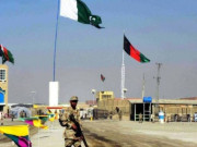 غیر قانونی تجارت کی روک تھام کیلیے سرحدوں پر اسکینرز لگانے کا فیصلہ