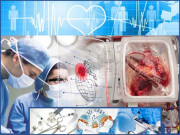 2017ء میں رونما ہونے والے طبی معجزے