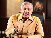انتخابات میں احتجاجی عناصرکوپھرشکست ہوگی شہبازشریف